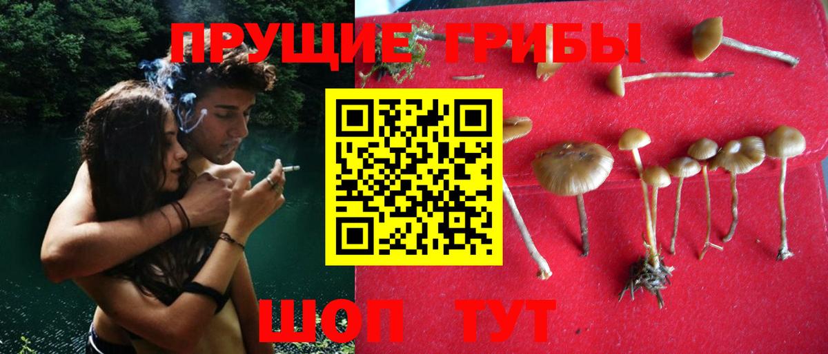Галлюциногенные грибы мухоморы Крымск