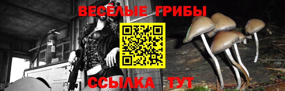 Крымск  Псилоцибиновые грибы Cubensis  Вход с VPN  Галлюциногенные грибы Cubensis 