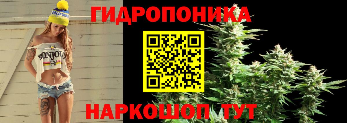 Крымск  Бошки Шишки план  Каннабис планчик  Вход с VPN  МАРИХУАНА AK-47  Марихуана план 